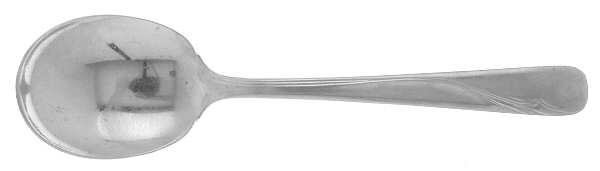 Oceanic (Stainless) Sugar Spoon