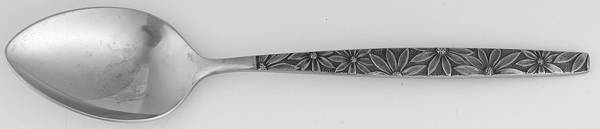 OHS100 (STAINLESS) Teaspoon
