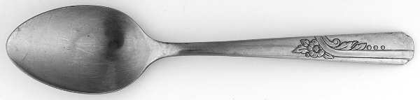 OHS101 (STAINLESS) Teaspoon