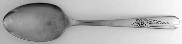 OHS101 (STAINLESS) Tablespoon (Serving Spoon)