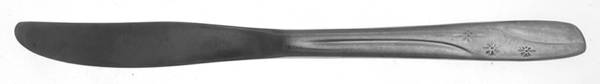 Starlet (Stainless) Modern Solid Knife