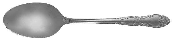 OHS103 (STAINLESS) Tablespoon (Serving Spoon)