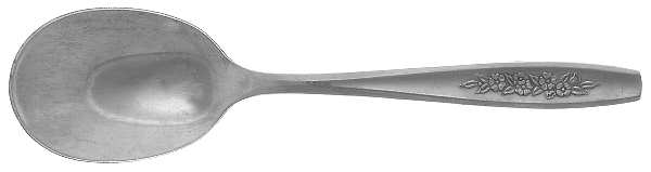 OHS108 (STAINLESS) Sugar Spoon