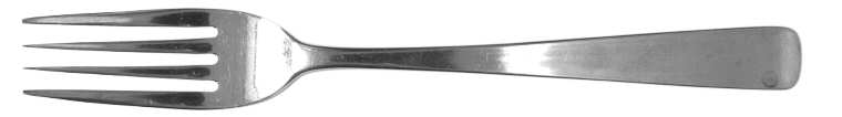 OHS110 (STAINLESS) Fork