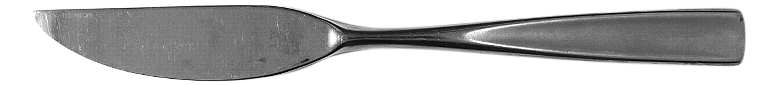 OHS111 (Stainless) Modern Solid Knife
