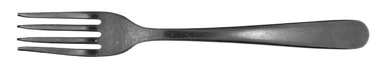 OHS130 (STAINLESS) Fork