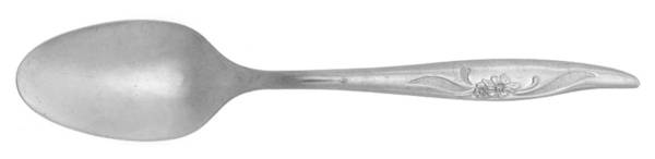 OHS16 (STAINLESS) Teaspoon