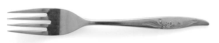 OHS16 (STAINLESS) Fork
