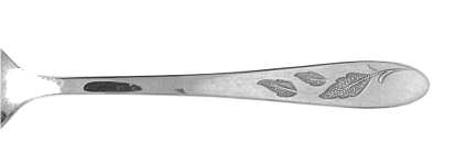 OHS42 (STAINLESS) by Oneida Silver