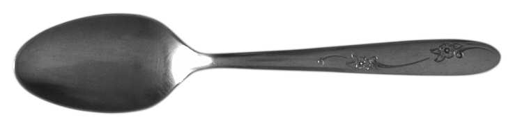 OHS49 (STAINLESS) Teaspoon