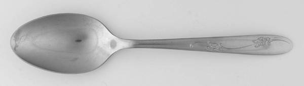 OHS49 (STAINLESS) Tablespoon (Serving Spoon)