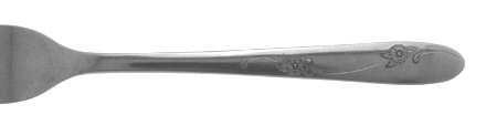 OHS49 (STAINLESS) by Oneida Silver