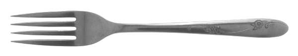 OHS49 (STAINLESS) Fork