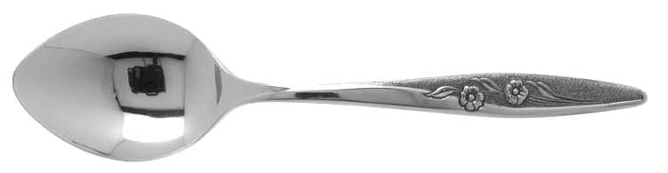 OHS62 (STAINLESS) Teaspoon