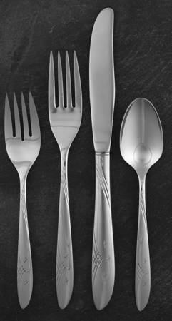 OHS9 (Stainless) 4 Piece Place Setting