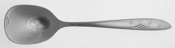 OHS9 (Stainless) Sugar Spoon