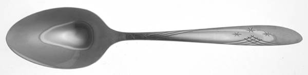 OHS9 (Stainless) Tablespoon (Serving Spoon)