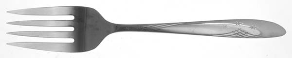 OHS9 (Stainless) Medium Solid Cold Meat Serving Fork