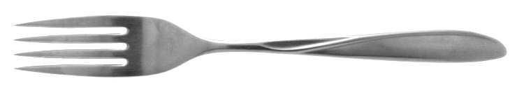 OHS91 (STAINLESS) Fork