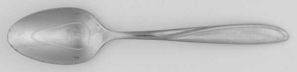 OHS91 (STAINLESS) Teaspoon
