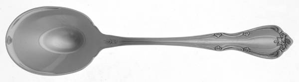 OHS95 (STAINLESS) Sugar Spoon