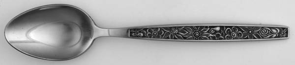 OHS96 (STAINLESS) Place/Oval Soup Spoon
