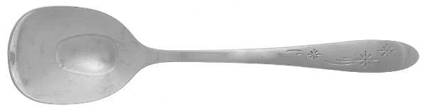 Old Winter (Stainless, Wm Rog) Sugar Spoon