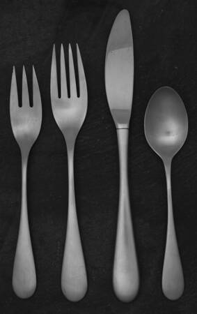 Omni (Stainless) 4 Piece Place Setting