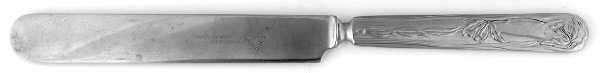 Orchid (Silverplate, 1903) Blunt Solid Knife