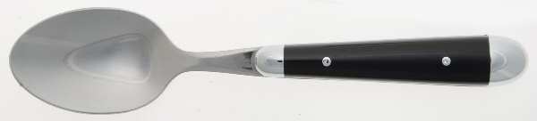 Palette-Black (Stainless) Teaspoon