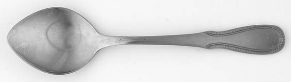 Palisade (Stainless) Sugar Spoon