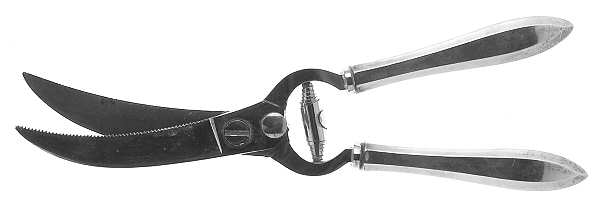 Patrician (Silverplate, 1914) Poultry Shears with Stainless Blades