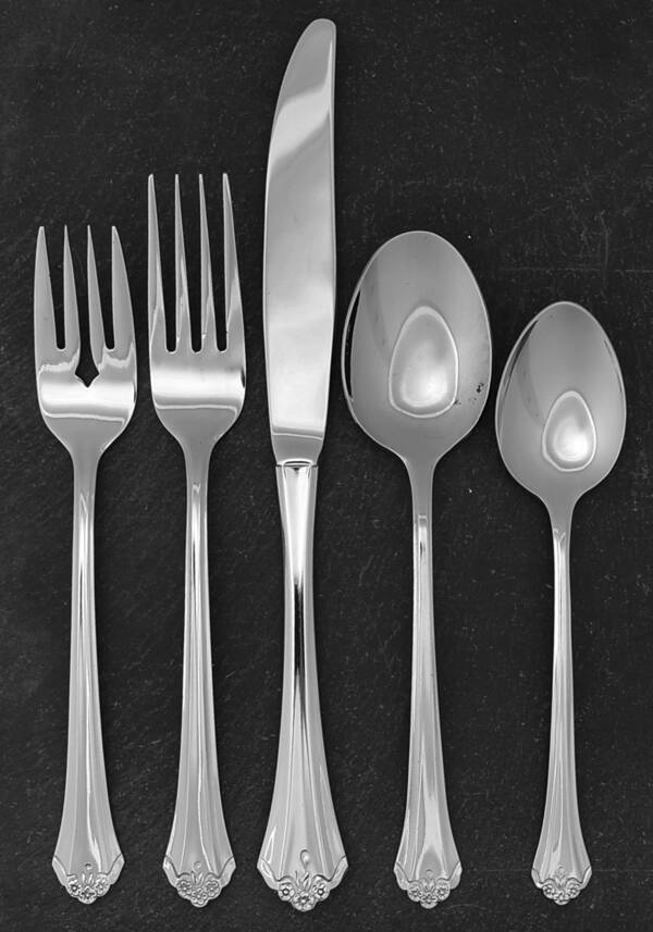 Perception (Stainless) 5 Piece Place Setting