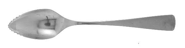 Phoenix-Community (Stainless) Fruit/Orange Spoon