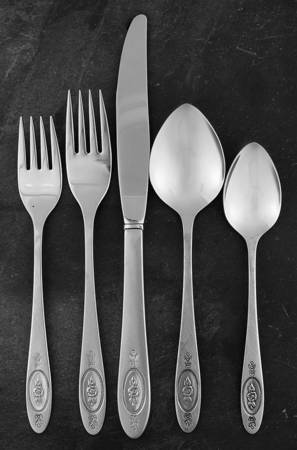 Polonaise (Stainless) 5 Piece Place Setting