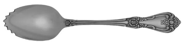 President (Stainless) Fruit/Orange Spoon Individual, Serrated Bowl HC