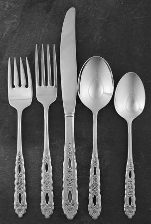 Proposal (Stainless) 5 Piece Place Setting