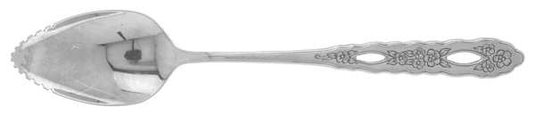 Proposal (Stainless) Fruit/Orange Spoon
