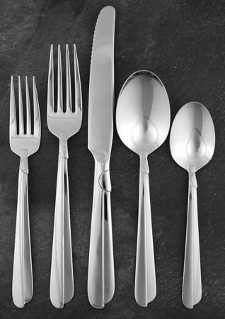Radius (Stainless) 5 Piece Place Setting