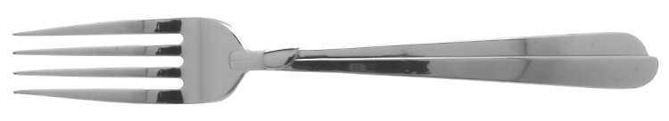 Radius (Stainless) Fork