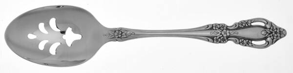 Raphael (Stainless) Pierced Tablespoon (Serving Spoon) HC