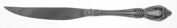 Raphael (Stainless) Individual Steak Knife Hollow Handle