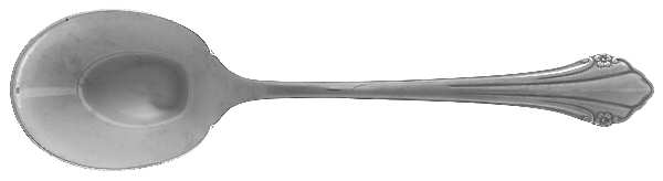 Repose (Stainless) Sugar Spoon