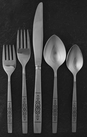 Rochester (Stainless) 5 Piece Place Setting