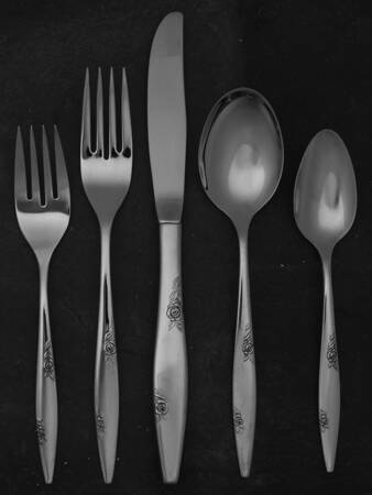Rose Duet (Stainless) 5 Piece Place Setting