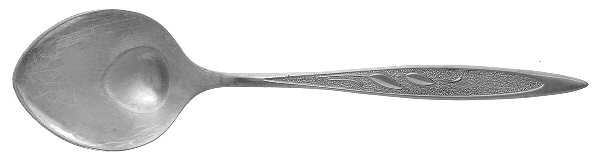 Royal Harvest (Stainless) Sugar Spoon