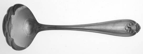 Royal Shell (Stainless) Solid Gravy Ladle