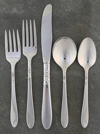 Sea Breeze (Stainless) 5 Piece Place Setting