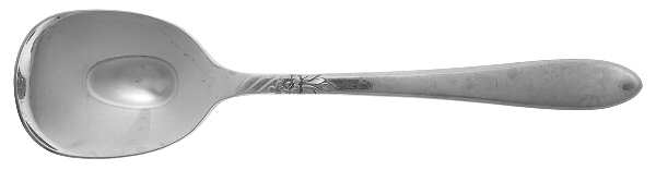 Sea Breeze (Stainless) Sugar Spoon