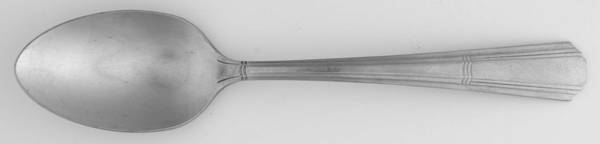 Sentinel (Stainless) Teaspoon
